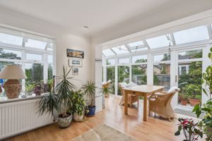 Photo 21- click for photo gallery